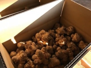 出荷前2